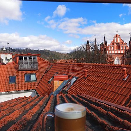 Private Sauna & 4 Bedrooms Old Town Rooftop Apartment VNO Dış mekan fotoğraf